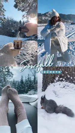 Snowfall Secrets