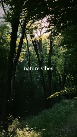 nature vibes 