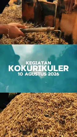 cinematik