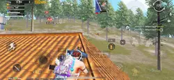 Ultimate royale