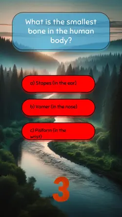 Quiz question templa