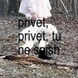 privet privet 2009