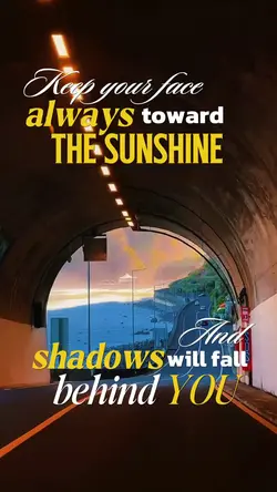 The Sunshine