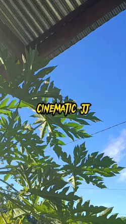 3 kip aja cinematic 