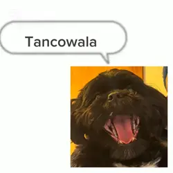 tancowala