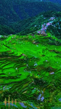 ISNA CORDILLERA