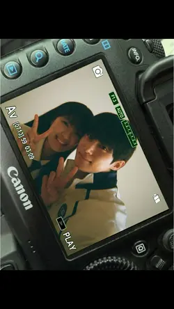 봄눈