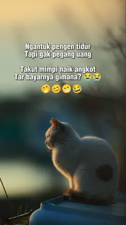 Status lucu