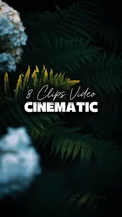 8 CLIPS VIDEO