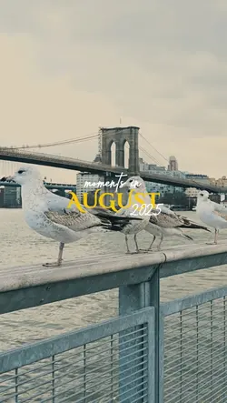 August recap 15 clip