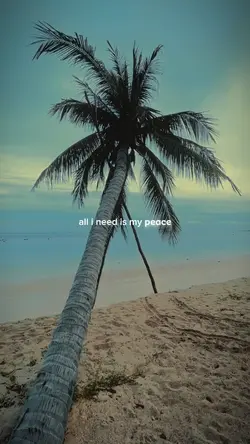 I NEED MY PEACE