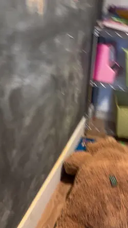 tour of door 