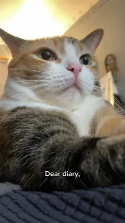 Dear Diary