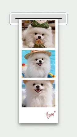 Dog Mini Vlog