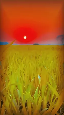 New slowmo cheema y
