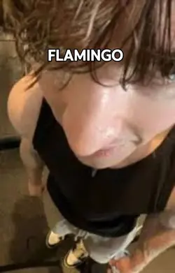 flamingo once said 