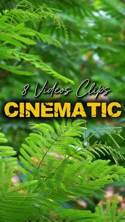 Cinematic 8 Videos