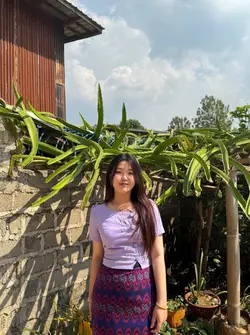 နှင်းဆီ