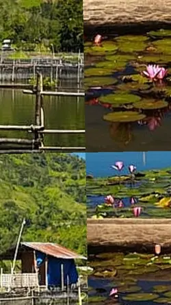 Love Mindanao