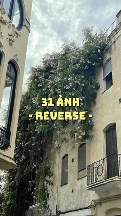 31 ảnh