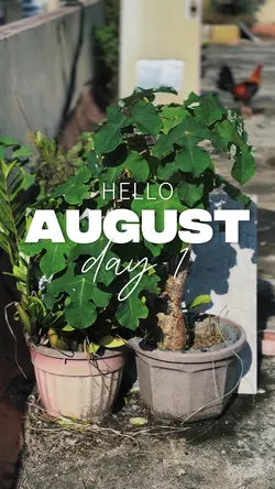 Hello August 