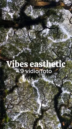 Vibes easthetic you