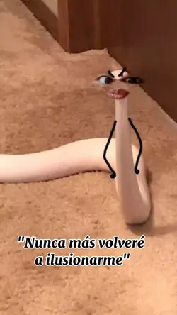 aqui vamos de nuevo