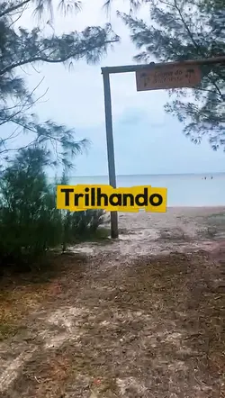 Trilha