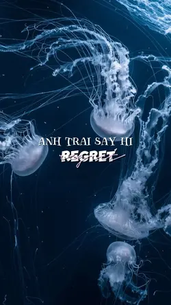 Regret