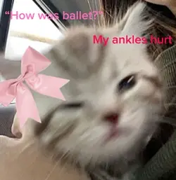 I LOVE BALLET