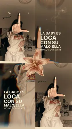 plantillas