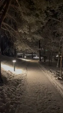 winter season
