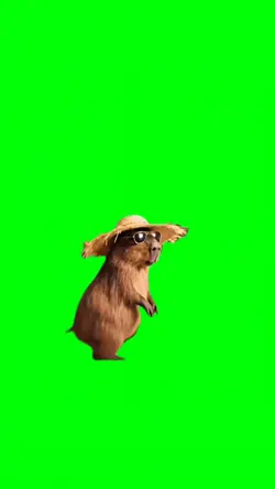 CAPYBARA VIBING