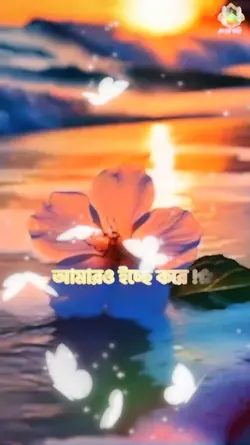সুন্দর গজল বাচ্চাটির
