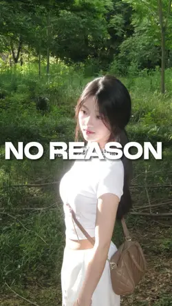 NO REASON 