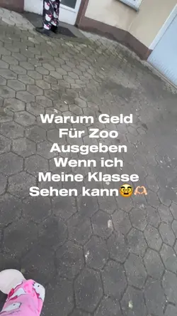 Klasse voller Tiere