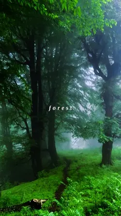 forest