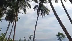 Beach Transition