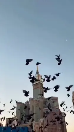 Islamic Aesthetic