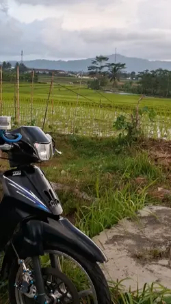 hp jatuh hp gw lecet