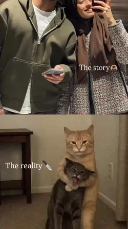 Story vs Realty