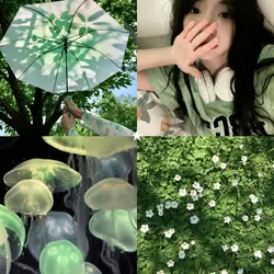 4 photo 