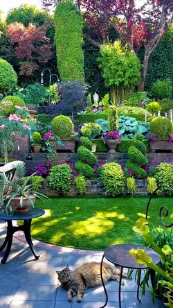 Gardening