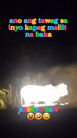 baka naman
funny