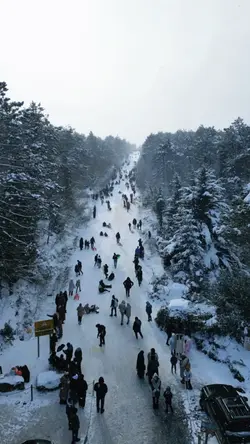 Buğu medya