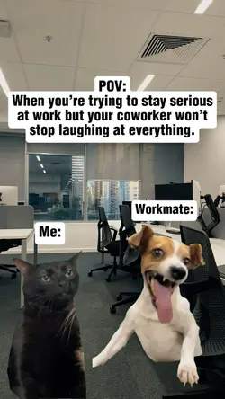 Cat and Dog Meme