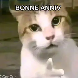 BON ANNIV