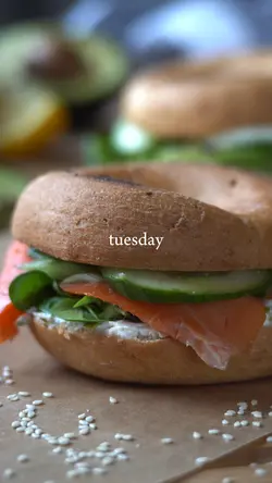 burger everyday