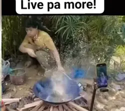 Live pa more 