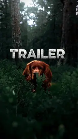 Trailer Nature 